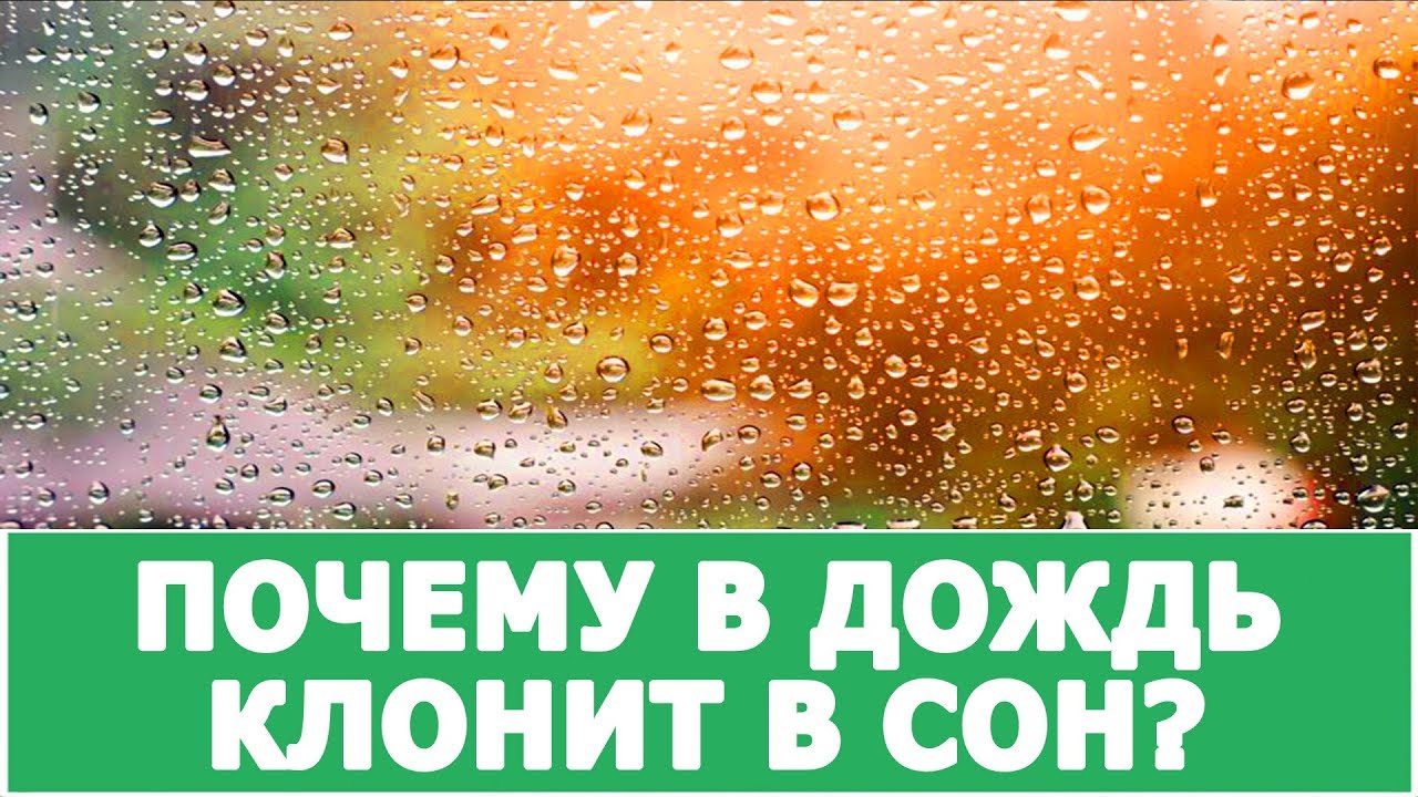 Почему дождь. Хорошо спится в дождь. В дождливую погоду хочется спать. Почему в дождь хочется спать. Дождь клонит в сон.