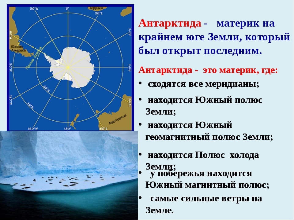 На каком полюсе земли находится арктика. Антарктида Континент расположенный на самом юге земли. Антарктида (материк). Географическое положение Антарктиды. Антарктида материк расположение.