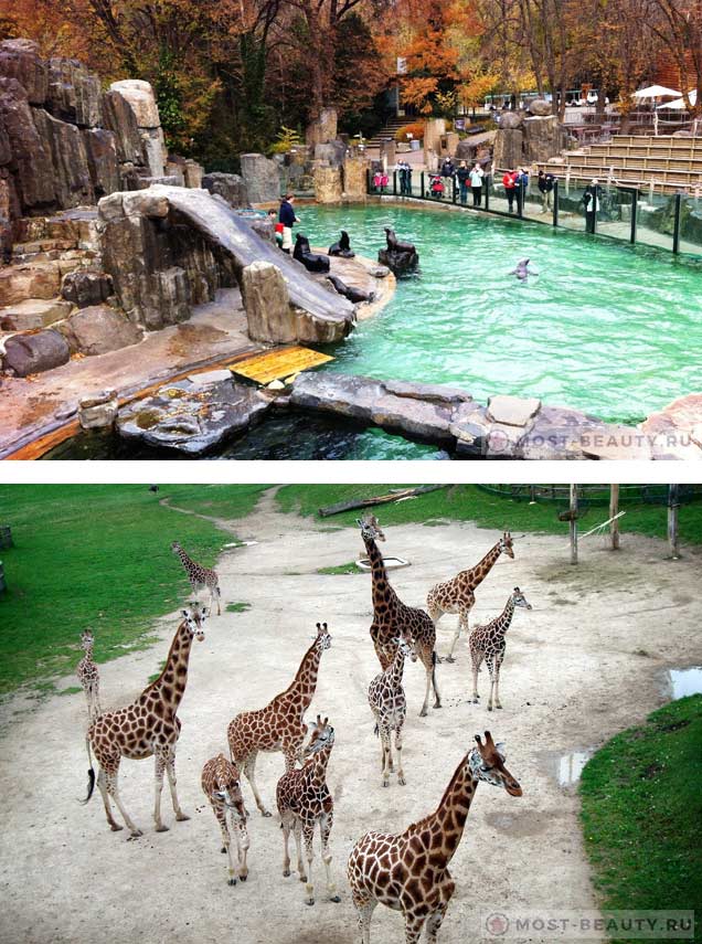 Большой зоопарк видео. Красивый зоопарк. Самый большой зоопарк. Самый большой заопарк в мир. Самые крутые зоопарки.