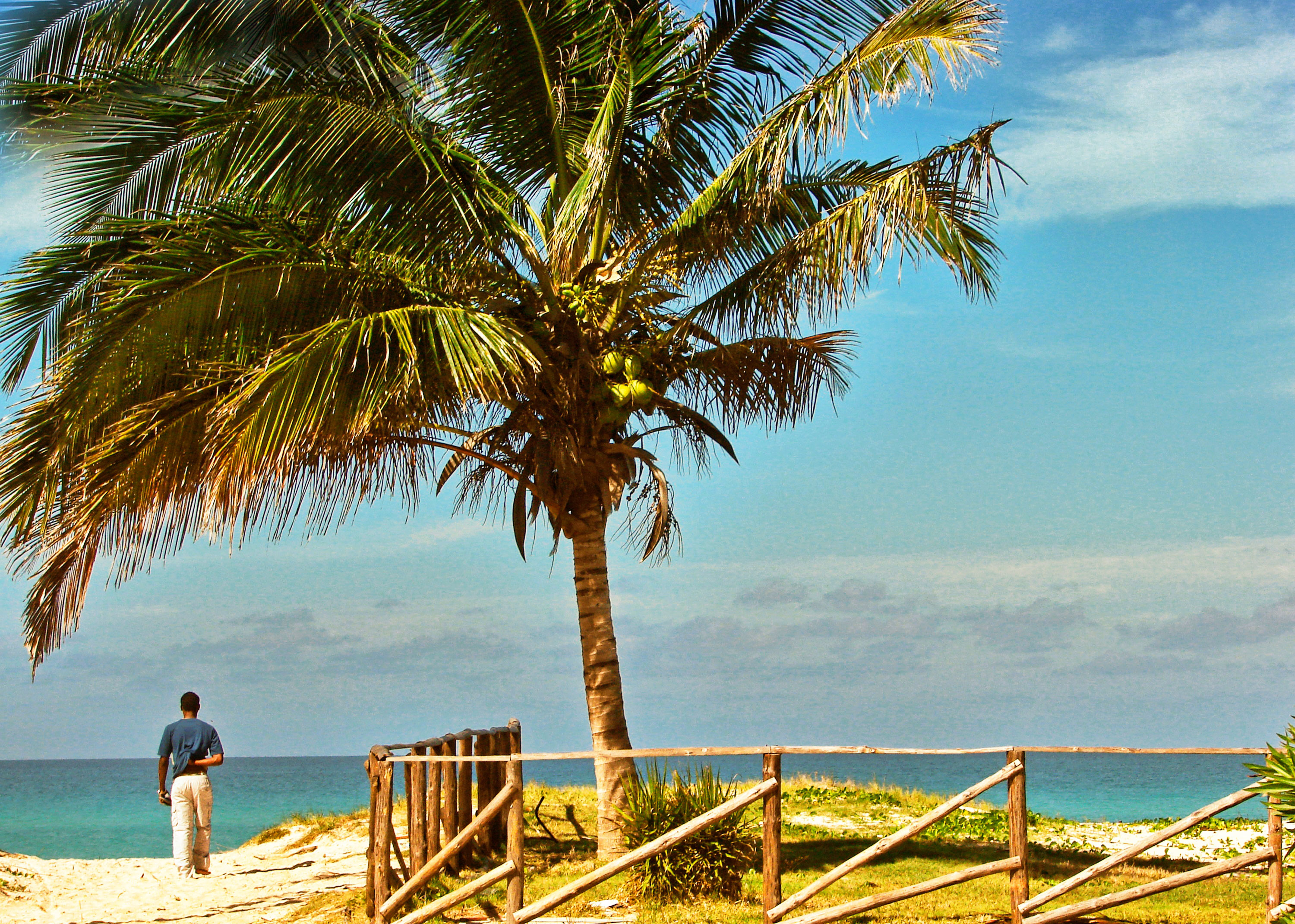 Где можно отдохнуть за границей в 2024. Куба Бич. Куда на море. Погода на Маврикии в июне. Cuba Beach logo.