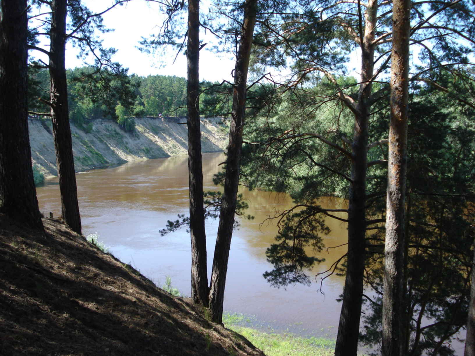 Деревня оша. Оша река Омск.