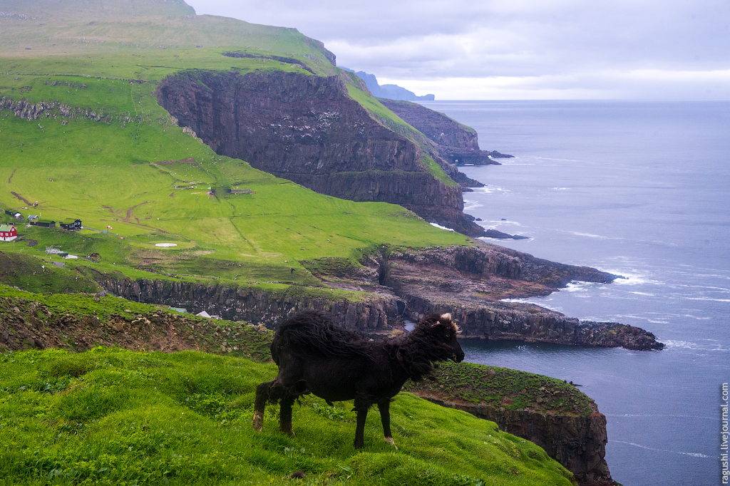 Кому принадлежат фарерские острова. Фарерские острова пирамиды. Фарерские острова населенность. Сумба Фарерские острова. Фарерские острова население.