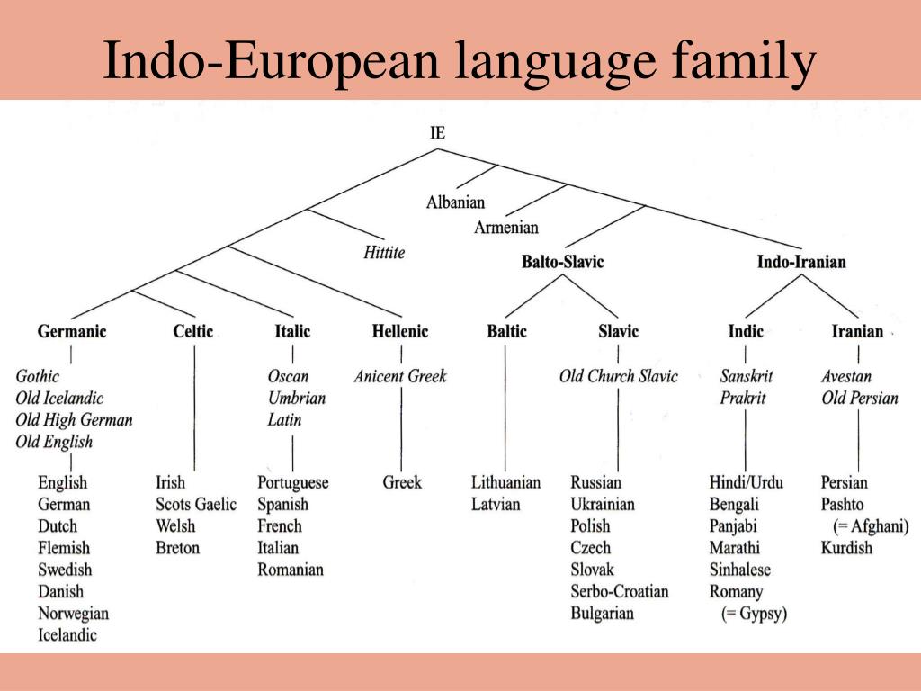 Языков org. Indo European languages Tree. Family Tree of Germanic languages. Indo European language Family. Генетическая классификация языков.