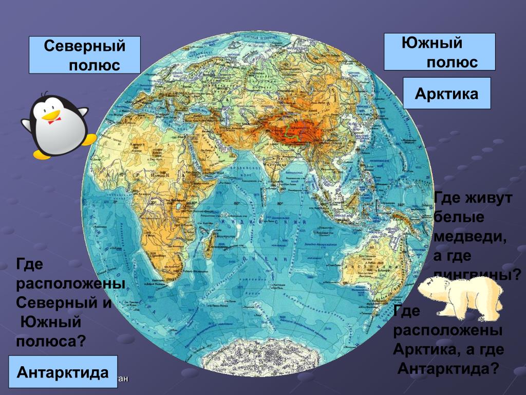 Океан полностью находится в северном полушарии. Сеаыкрный и Южный полюс. Северный и Южный полюс. Северный и Южный полюс на карте. Карта Арктики на глобусе.