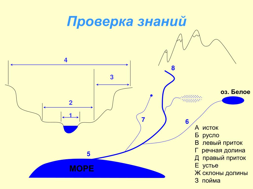 Схема реки. Строение Речной Долины (русло, Пойма, надпойменные террасы, Старица). Части Речной системы русло. Русло реки схема. Строение Речной Долины.