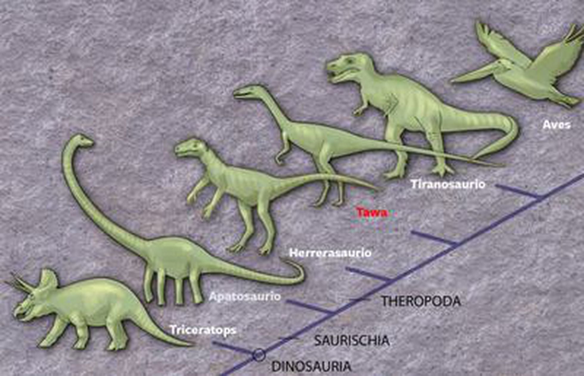Динозавры развитие. Эволюция динозавров. Предки динозавров. Эволюционированные динозавров. Ящерица динозавр.