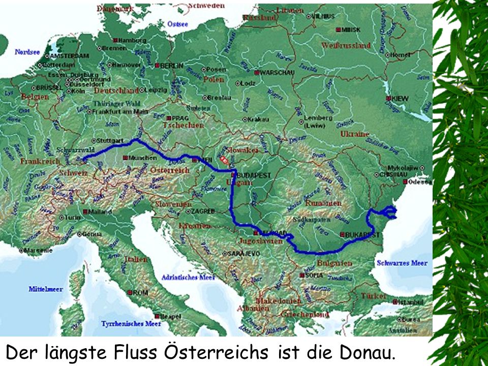 Какие реки протекают в европе. Бассейн реки Дунай. Река Дунай на карте Украины. Река Дунай карта от истока до устья. Река Дунай на карте.