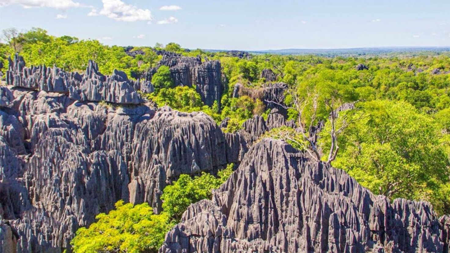 Экспедиции мадагаскар. Мадагаскар остров природа. Ландшафты Мадагаскара. Мадагаскар национальный парк. Национальный парк Анкарана.