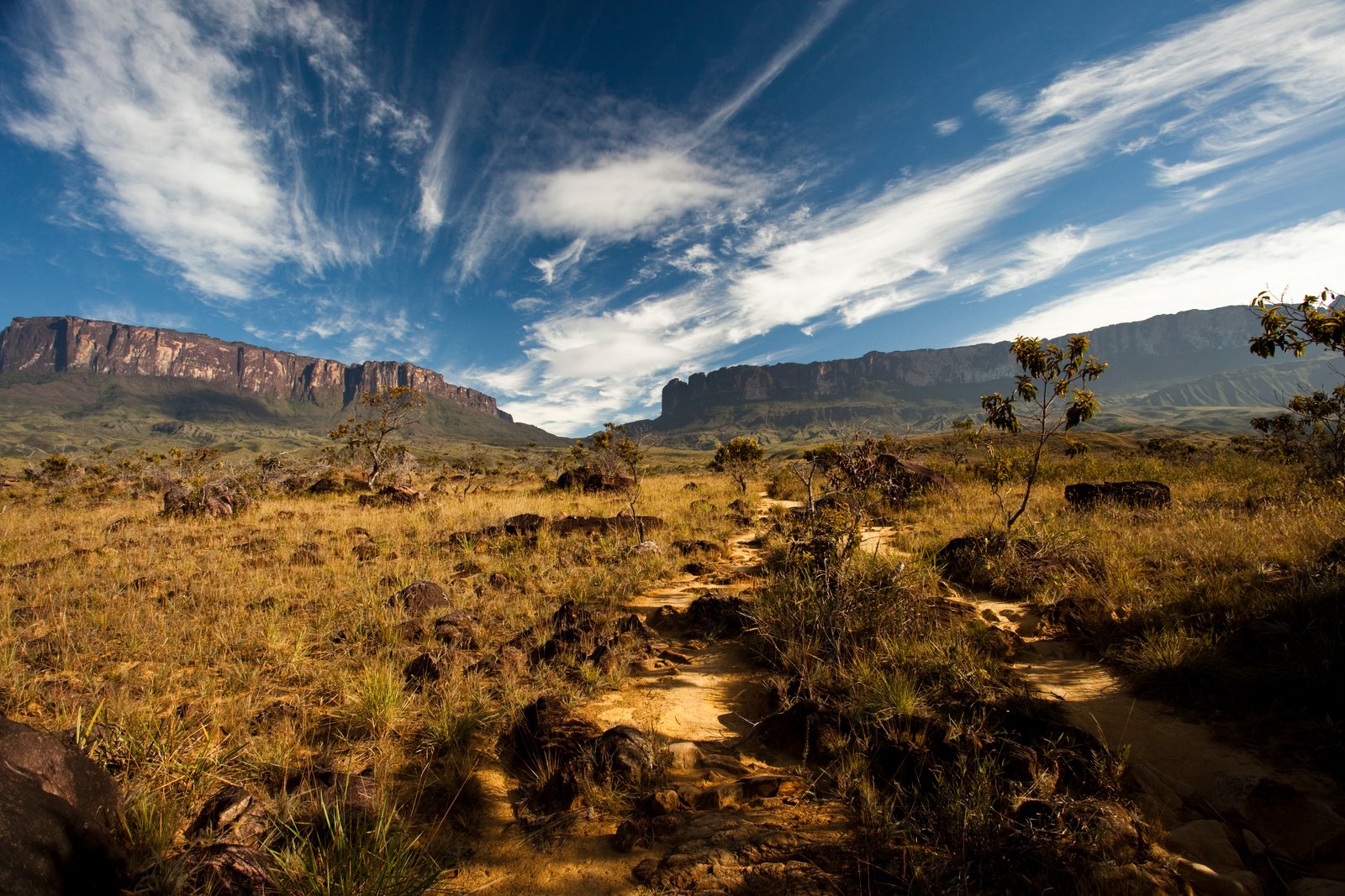 Aerial image of Tepuis, Venezuela South America: Mount Roraima (