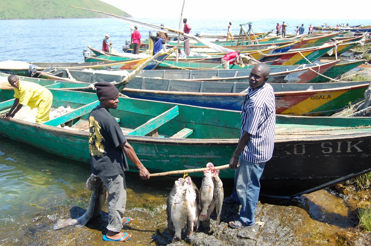 terraoko 2014 01 15 6 3 Самый густонаселенный остров на самом большом озере в Африке