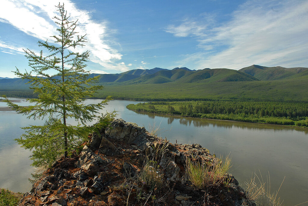 Скорость реки колыма. Река Колыма Якутия. Сибирь Северо-Восточная река Колыма. Устье Колымы.