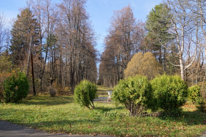 Вид от усадебного дома в сторону центрального входа, Усадьба Любвино, Тучково