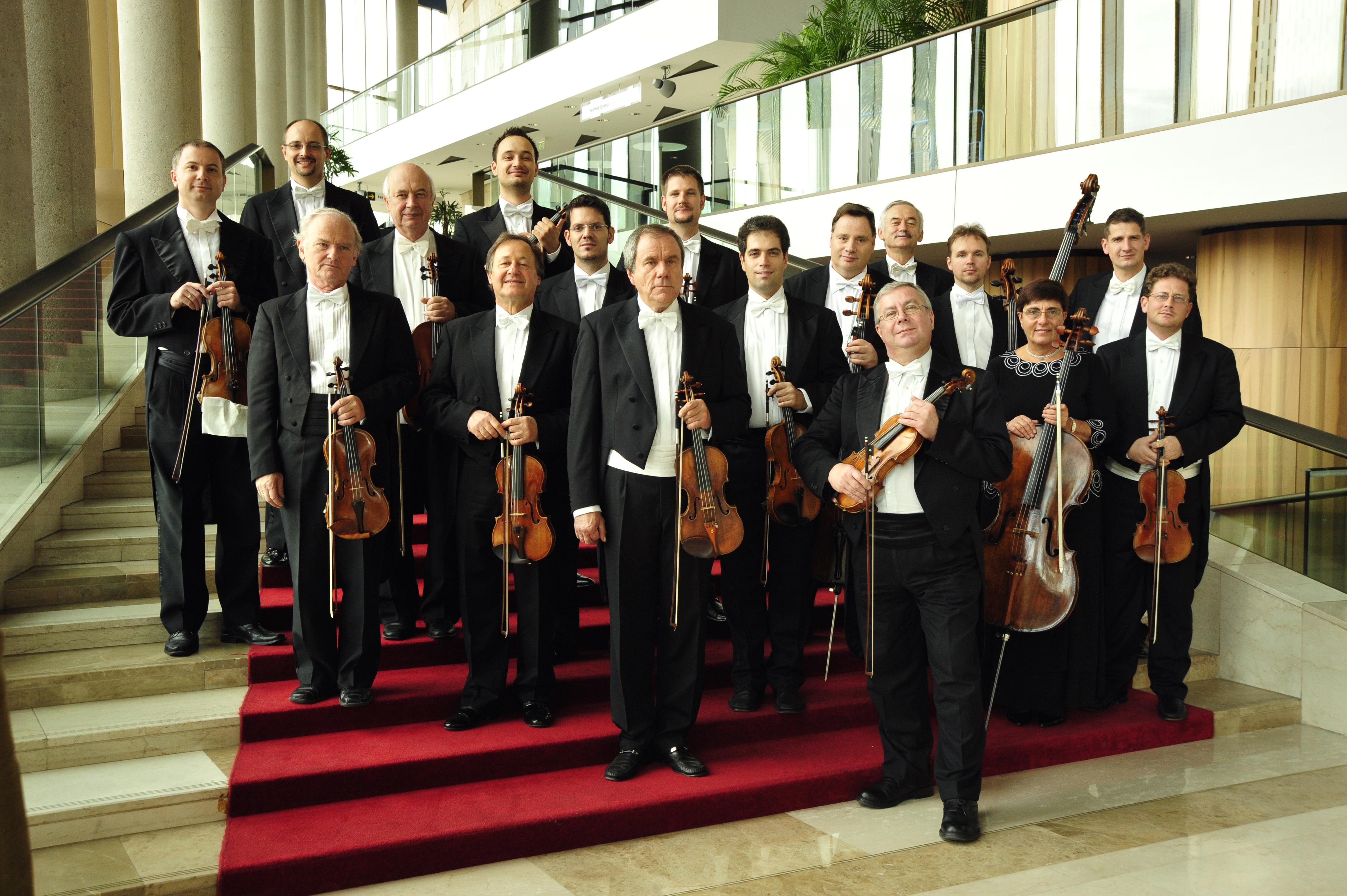 Самый большой оркестр. Камерный оркестр. Самый большой оркестр в мире. Будапештского камерного оркестра. Камерный оркестр фото.