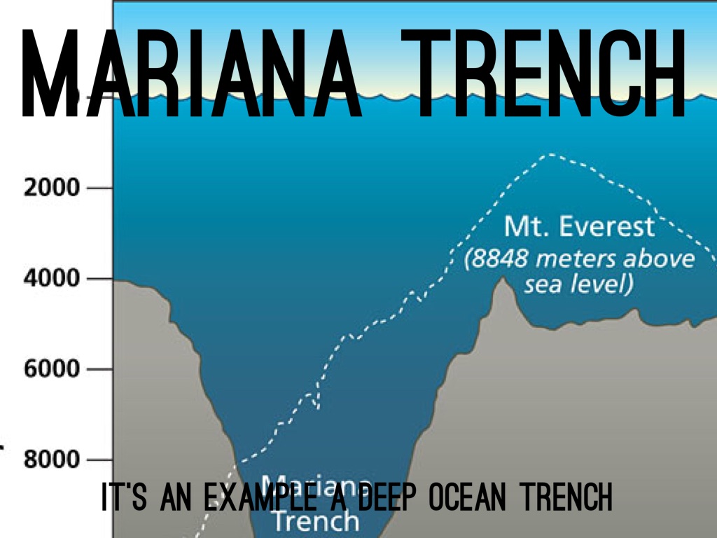 Выше уровня моря. Марианская впадина глубина. Марианский глубоководный желоб. Максимальная глубина Марианского желоба.