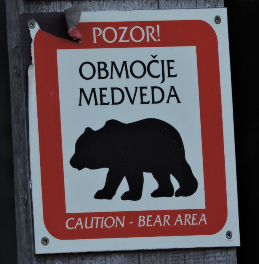 Знак, предупреждающий о наличии медведей поблизости