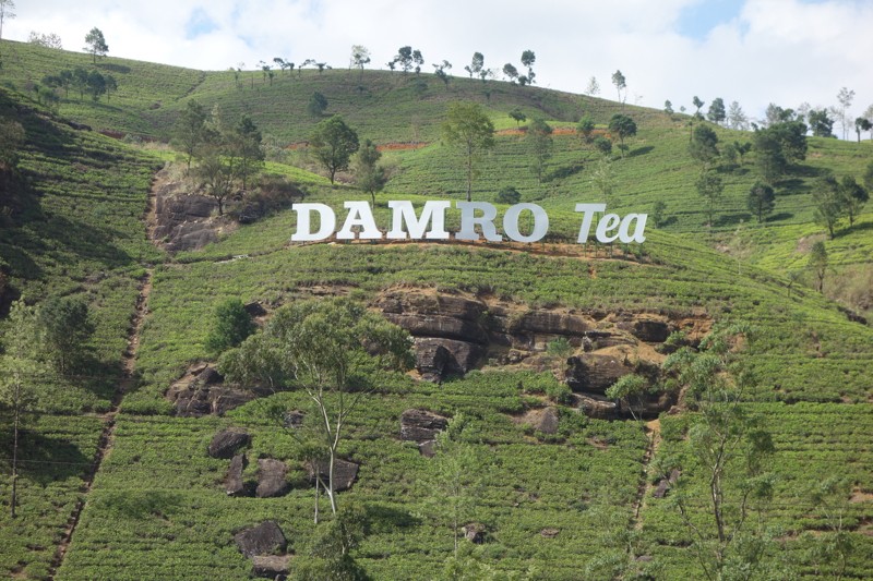Чайная фабрика Damro (Macwoods)