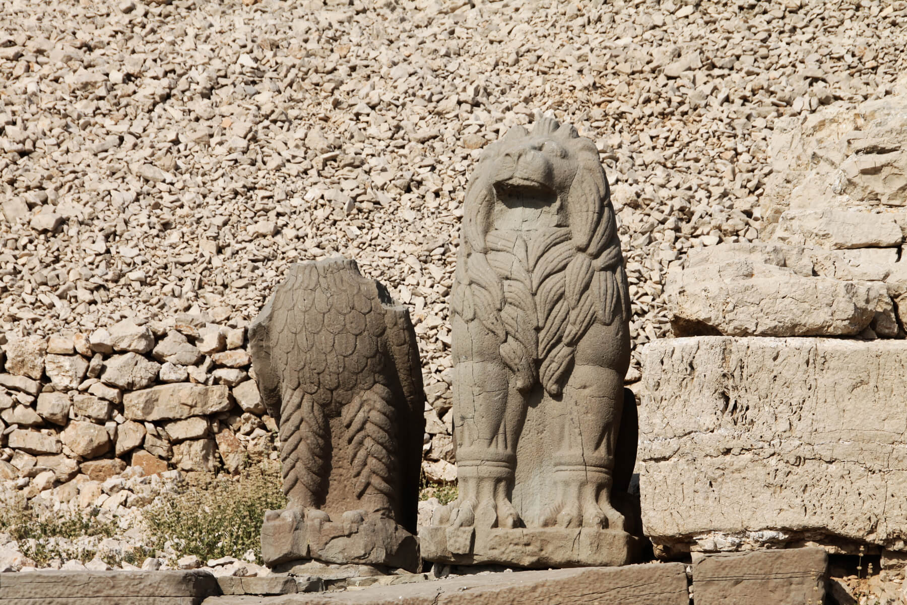 Орел и лев из камней