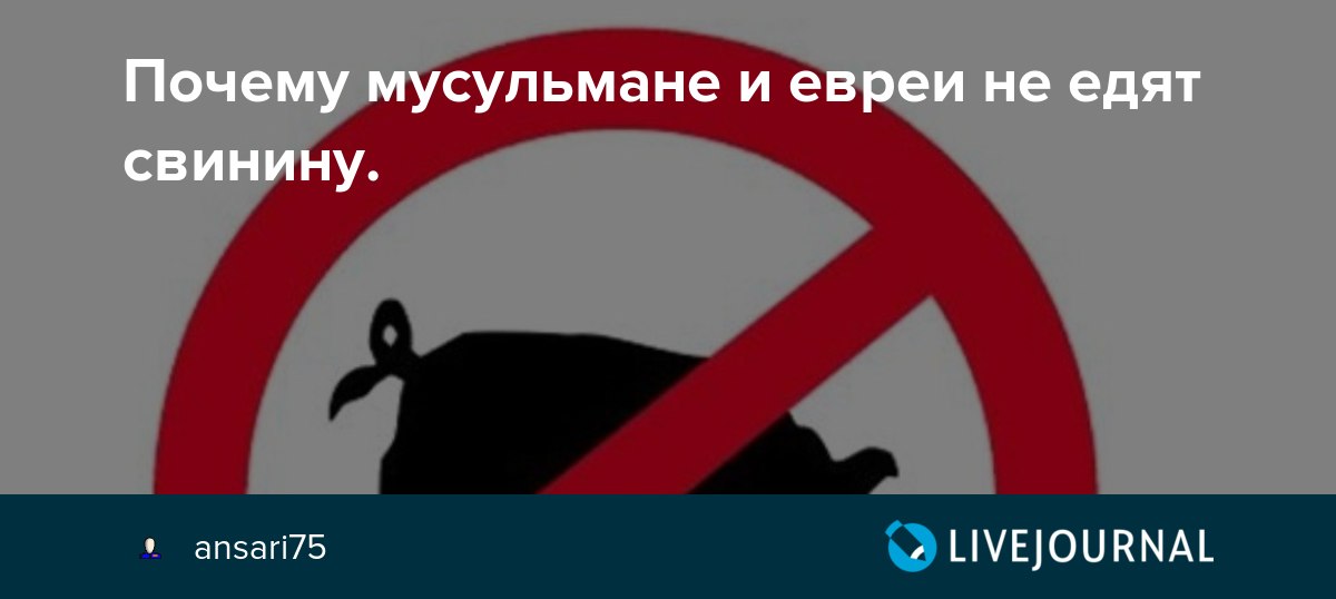 Можно ли евреям есть свинину. Евреям запрещено есть свинину. Почему мусульмане не едят свинину. Почему исламисты не едят свинину. Почему мусульмане и евреи не едят свинину?.