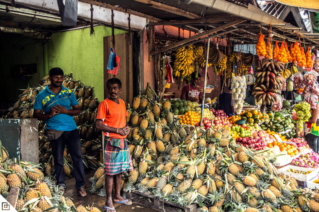 Что купить на шри ланке. Шри Ланка рынок манго. Рынок Galle шриланкс. Рыбный рынок Шри Ланка. Шри Ланка город Амбалангода рыбный рынок.