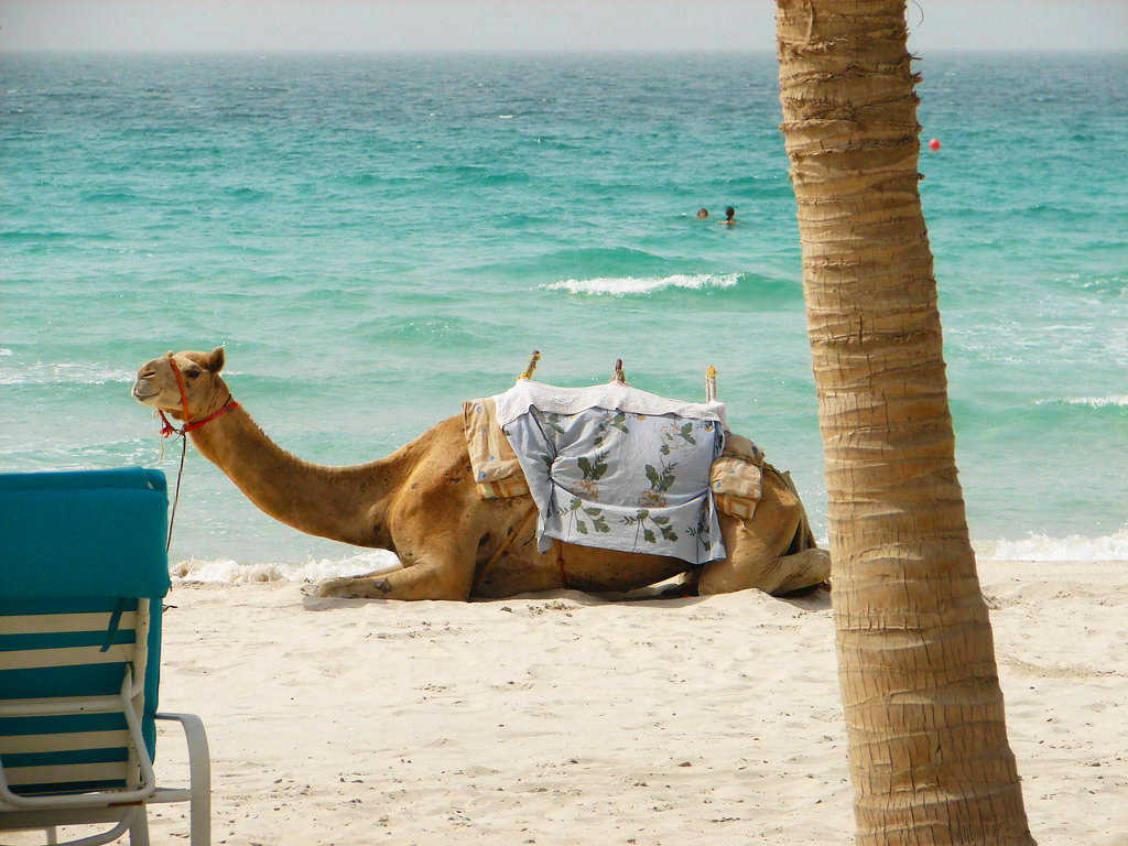 Недорогие курорты в Эмиратах