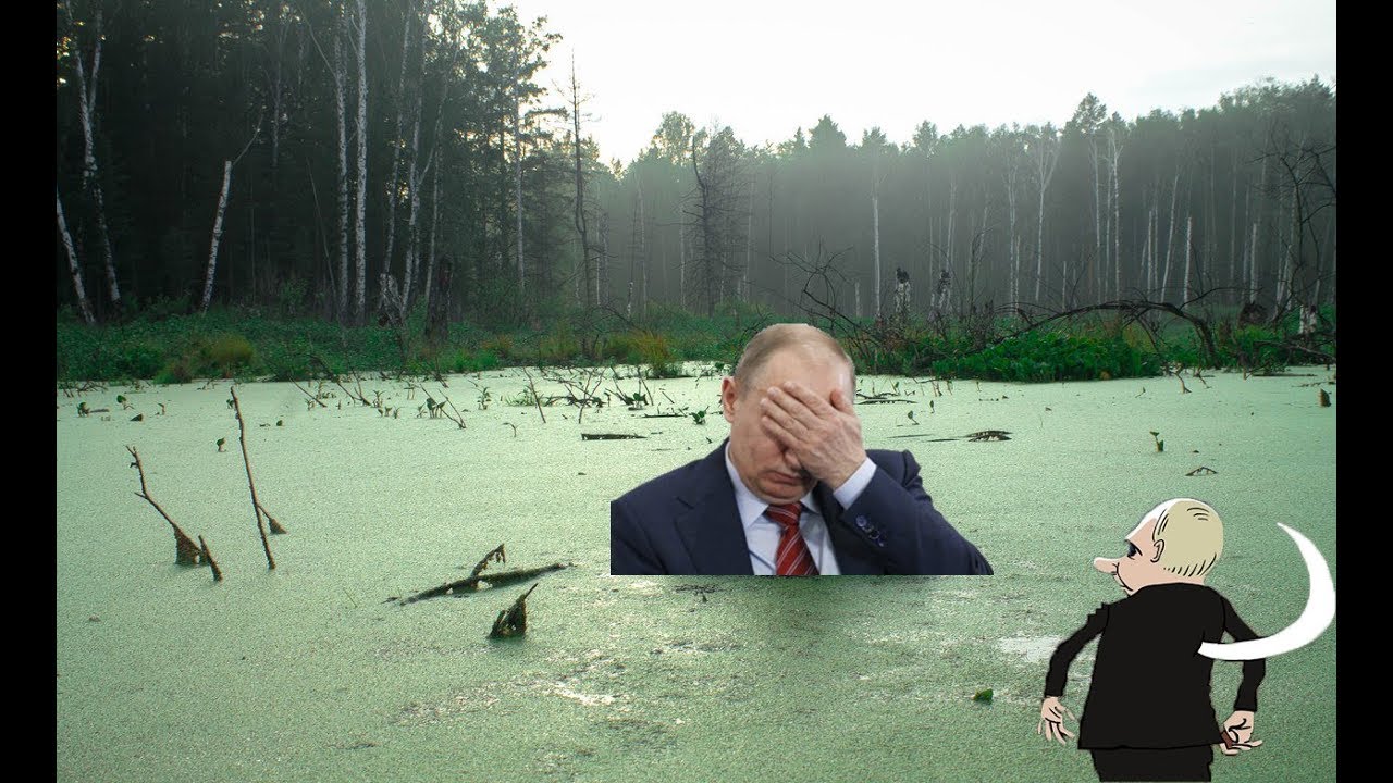 Она утонула видео. Путинское болото.