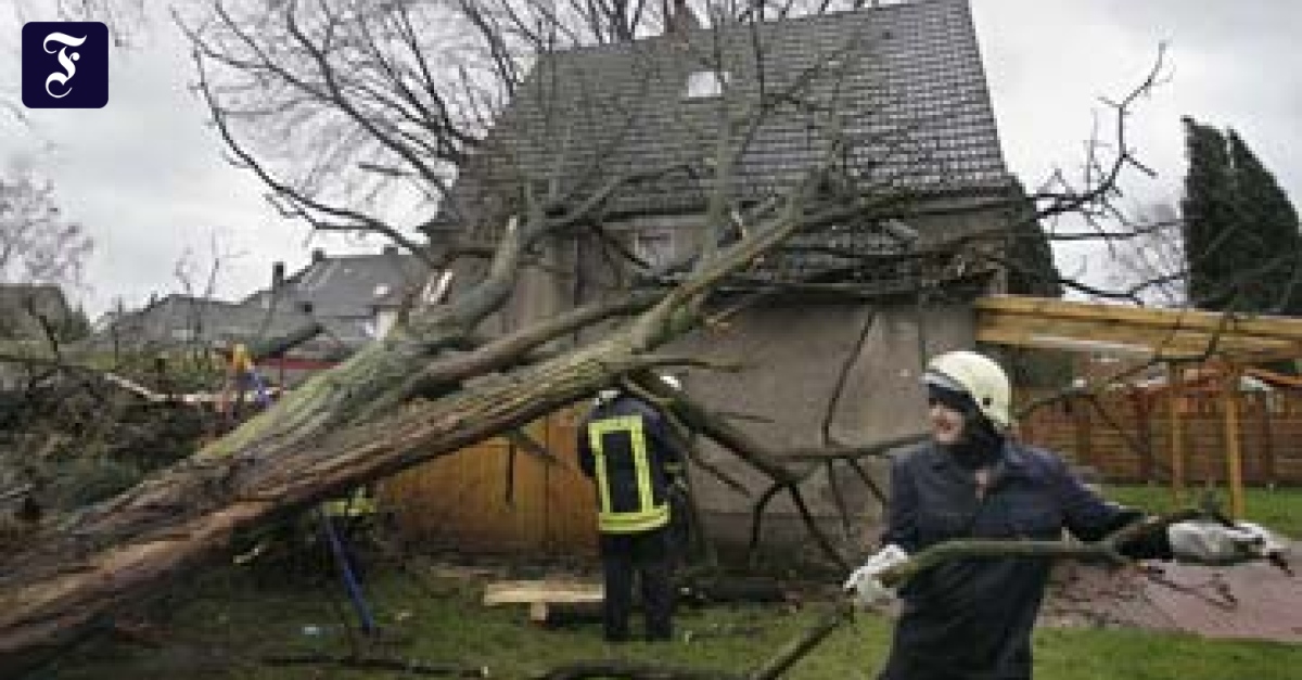 Можно сломать дерево. Дерево упало на частный дом. Разрушение кровли. Дерево разрушило дом. Последствия сильного ветра.