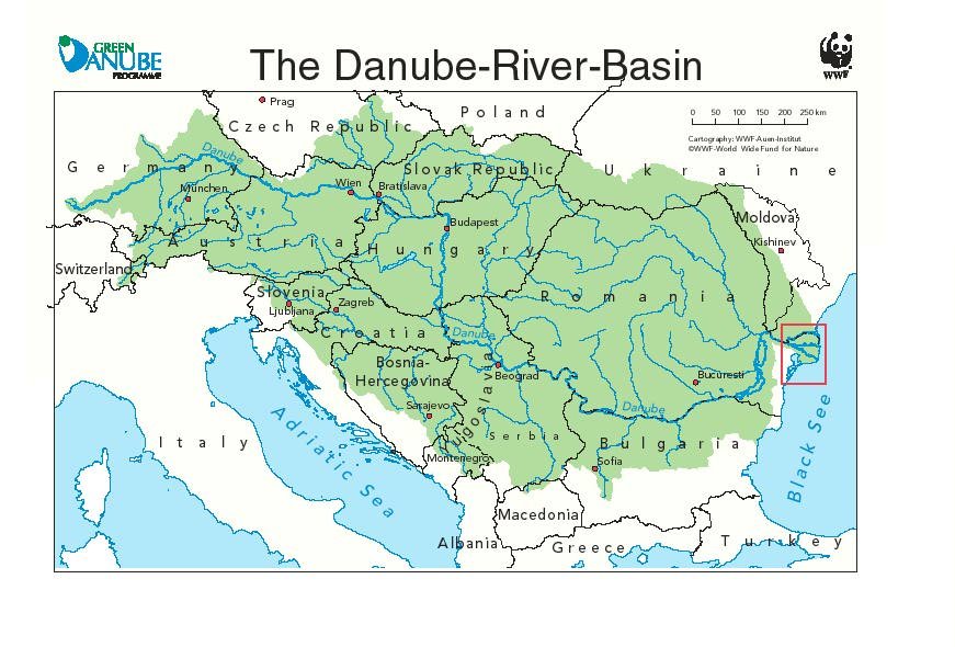Река протекающая по территории нескольких стран