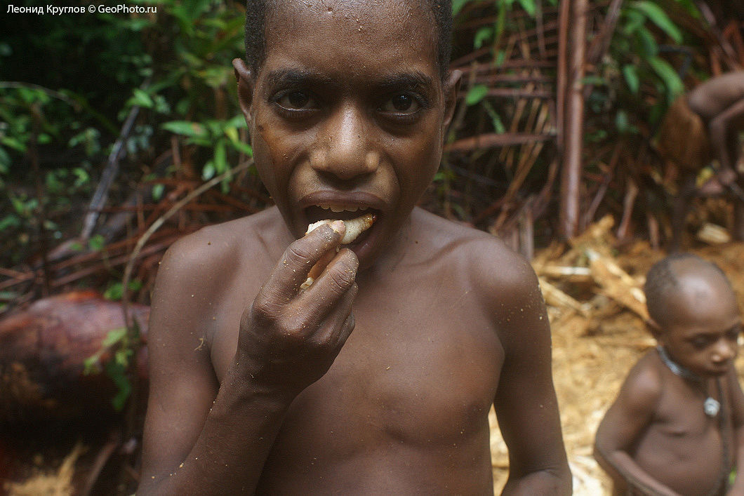 Джунглях живут люди. Новая Гвинея. Племя КОРОВАИ. Племя КОРОВАИ Папуа новая Гвинея. Племя КОРОВАИ из Папуа.