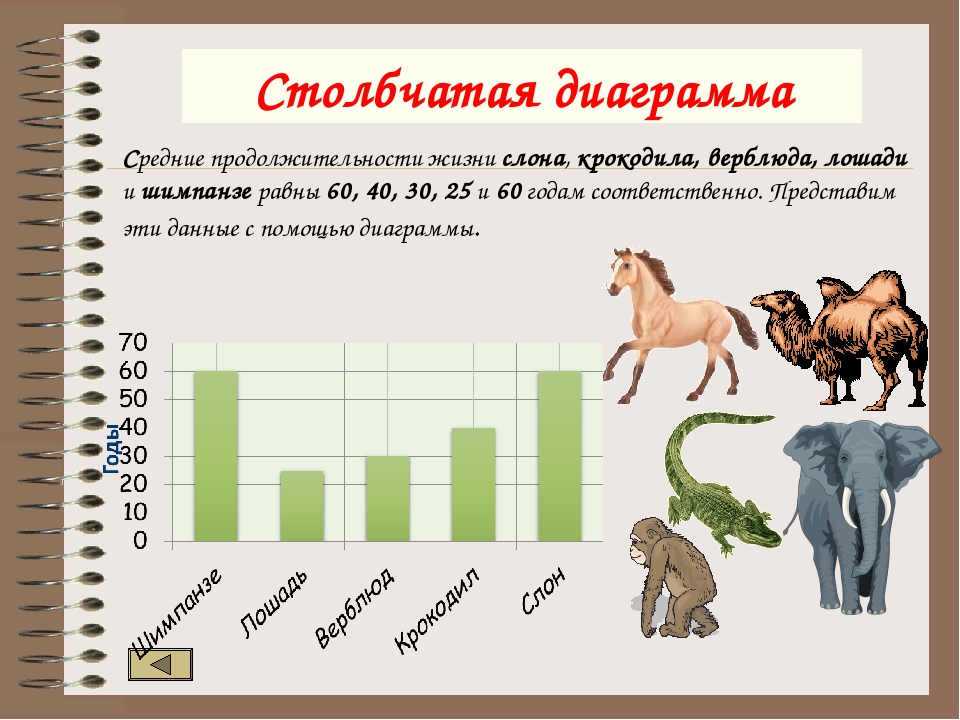Сколько живут все животные. Продолжительность жизни лошади. Средняя Продолжительность лошади. Средняя Продолжительность жизни животных диаграмма. Средний срок жизни лошади.