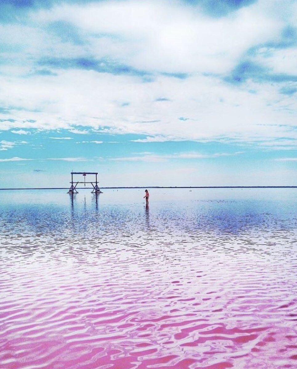 Розовое озеро на алтае. Малиновое озеро Бурсоль. Бурсоль озеро Алтайский край. Озеро Бурсоль Яровое. Розовое озеро Алтай Бурсоль.