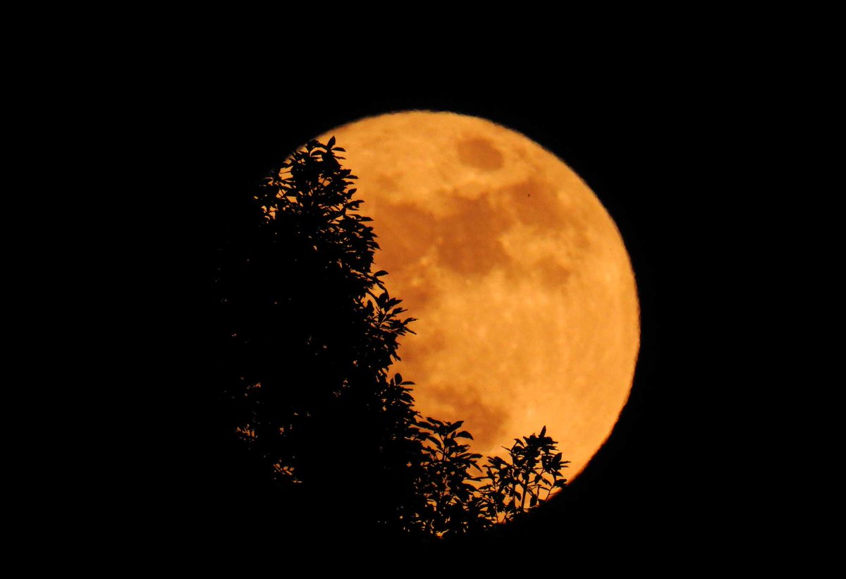 Большая оранжевая луна. Оранжевая Луна. Огромная оранжевая Луна. Желтая Луна. Луна желто оранжевая.
