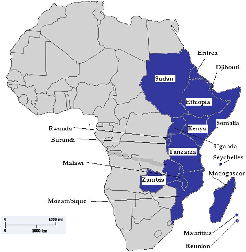 Где восточная африка. Государства Восточной Африки на карте. Страны Восточной Африки на карте Африки. Юго Восточная Африка на карте. Стрвнв восточнее Африки.