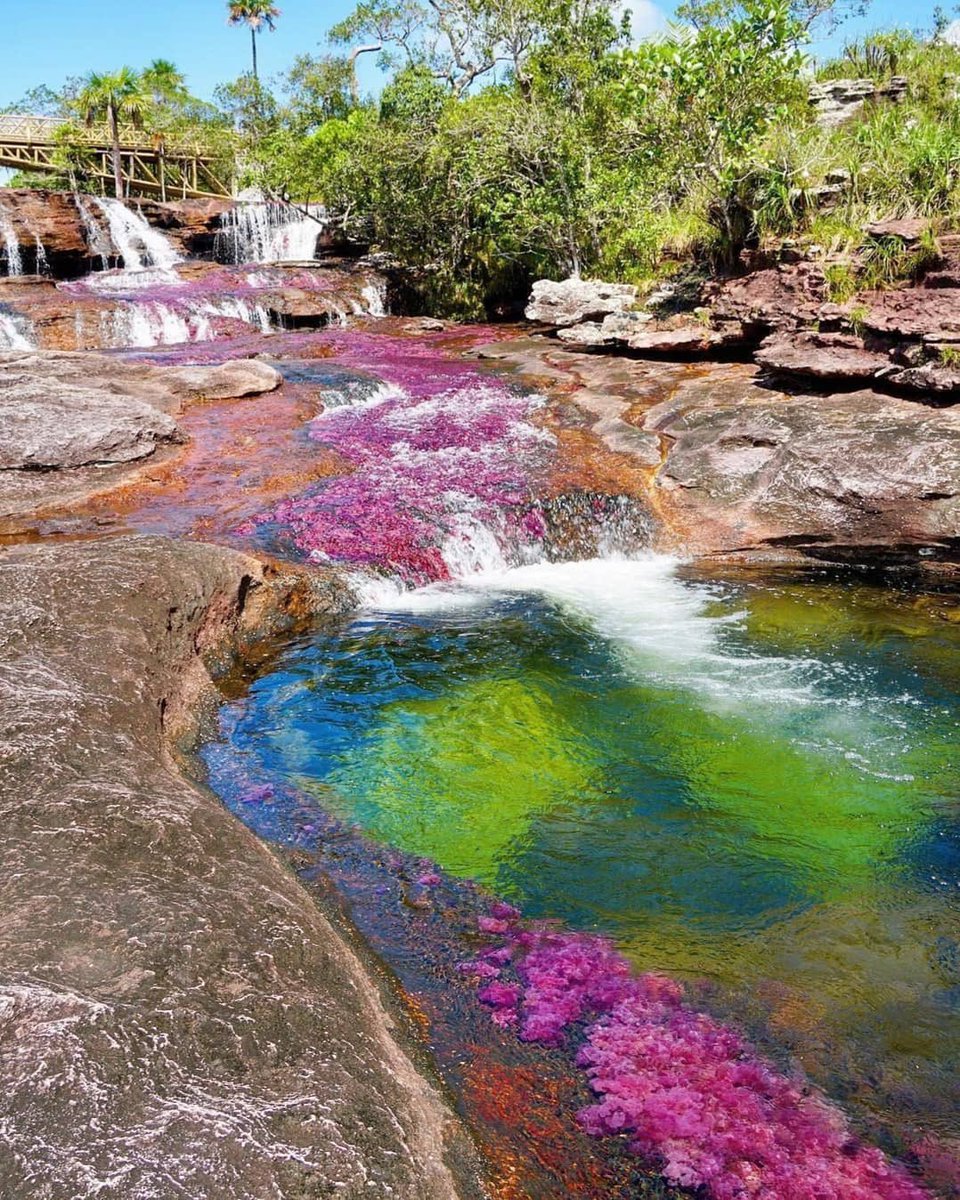 колумбия река 5 цветов