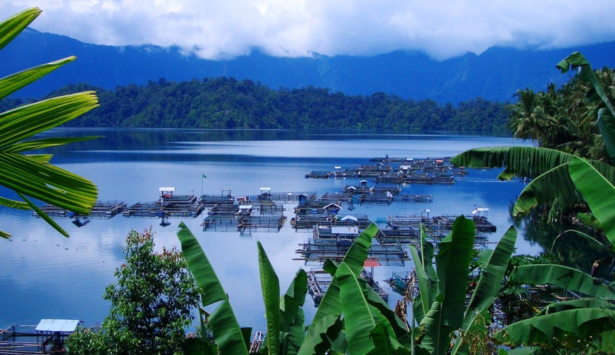 Гвинея малайзия. Остров Суматра. Суматра Индонезия. Суматра природа. Индонезия остров Суматра достопримечательности.