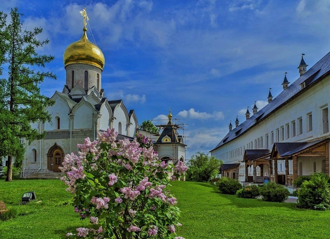 Монастырь саввы. Савво-Сторожевский монастырь. Саввино-Сторожевский монастырь. Ставропигиальный монастырь Звенигород. Спасо-Сторожевский монастырь в Звенигороде.