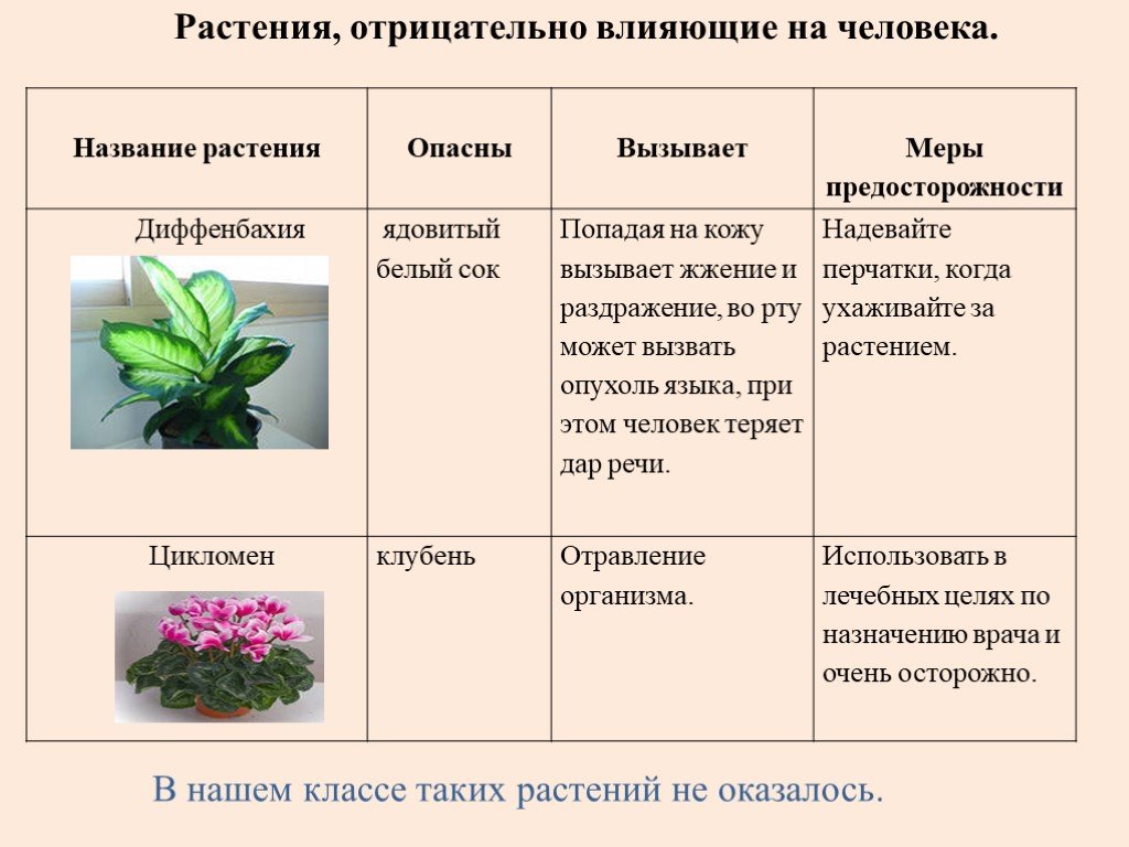 Растения заполнить таблицу. Полезные и вредные растения. Комнатные растения таблица. Вредные растения для человека. Таблица ядовитые комнатные растения.