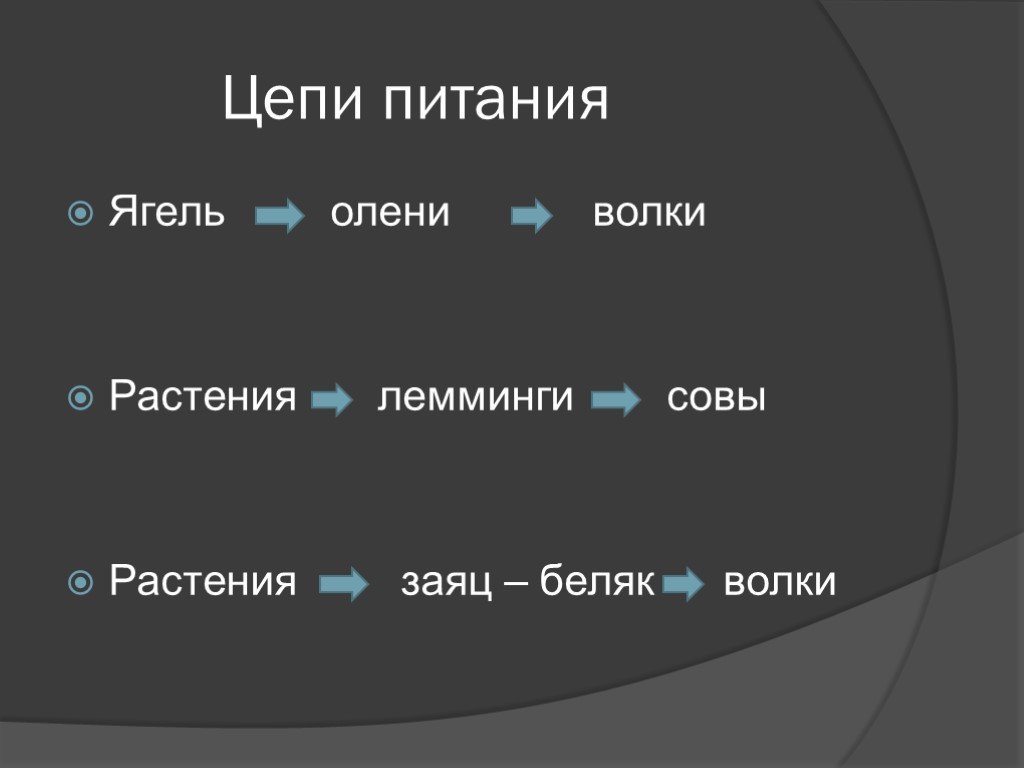 Схема питания характерная для тундры. Цепь питания в зоне тундры. Цепь питания характерная для тундры 4 класс. Цепь питания в тундре. Цепь питания характерная для тундры.