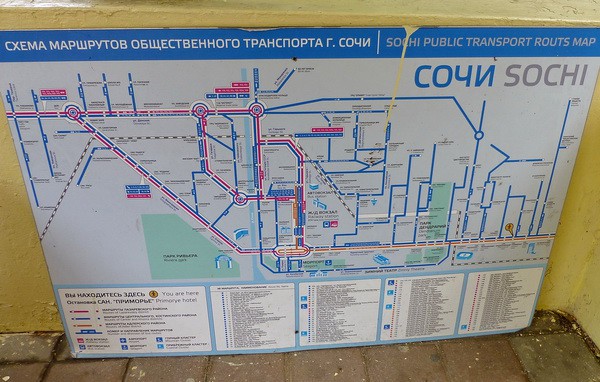 Карта автобусов автовокзал. Схема общественного транспорта Сочи. Карта движения автобусов Адлер. Схема автобусов Сочи. Маршрут автобуса.