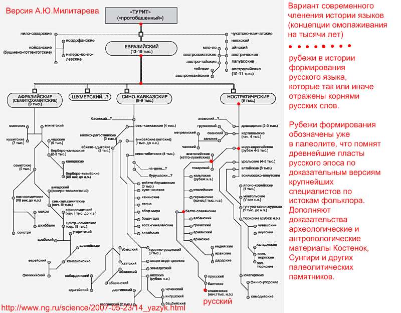 Древо славянских языков картинка