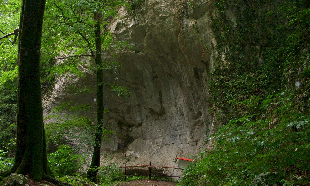 Воронцовские пещеры экскурсия