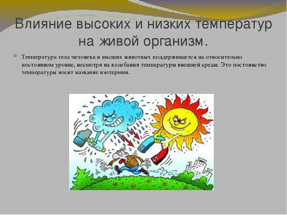 Каким образом человек может влиять на климат. Влияние температуры на человека. Влияние температуры воздуха на организм человека. Влияние температуры на живые организмы. Воздействие человека на погоду.