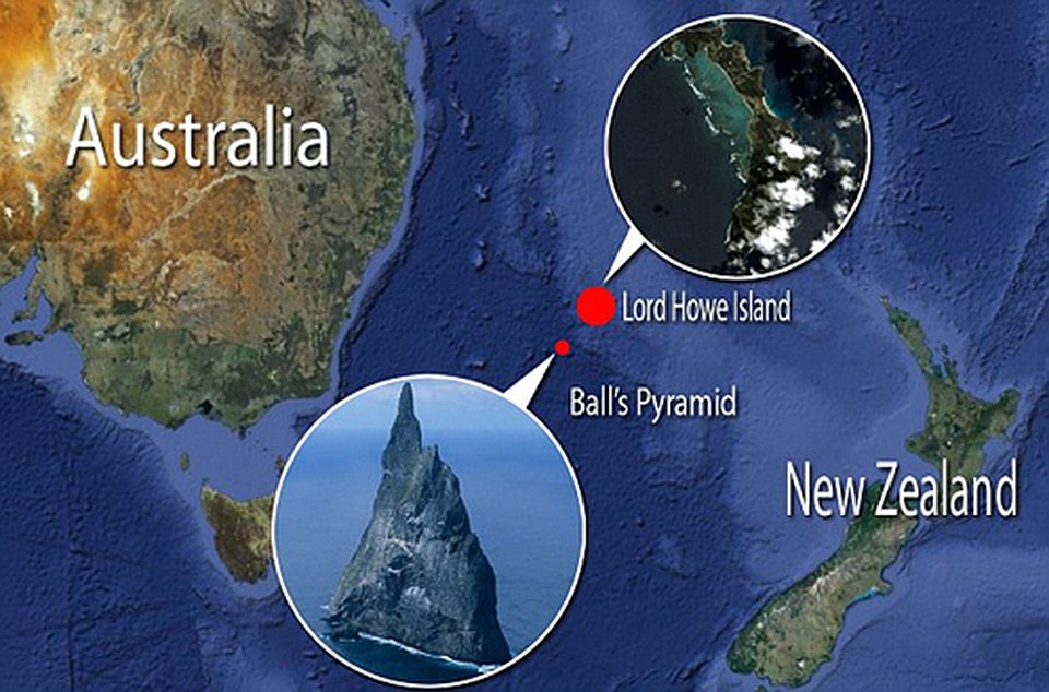 Пирамида Болла торчит между Австралией и Новой Зеландией 