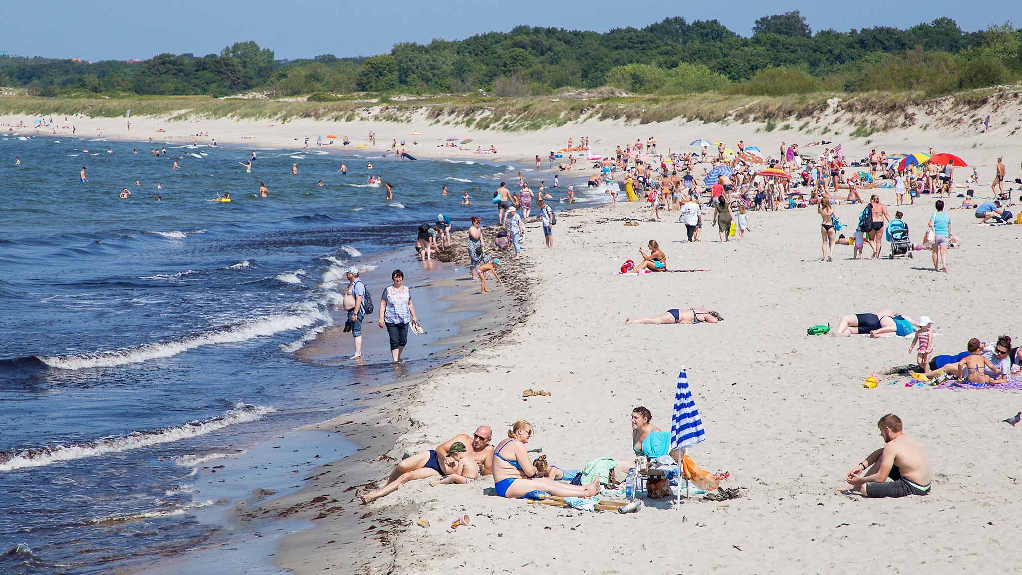отдых на балтийском море калининградская область янтарный берег