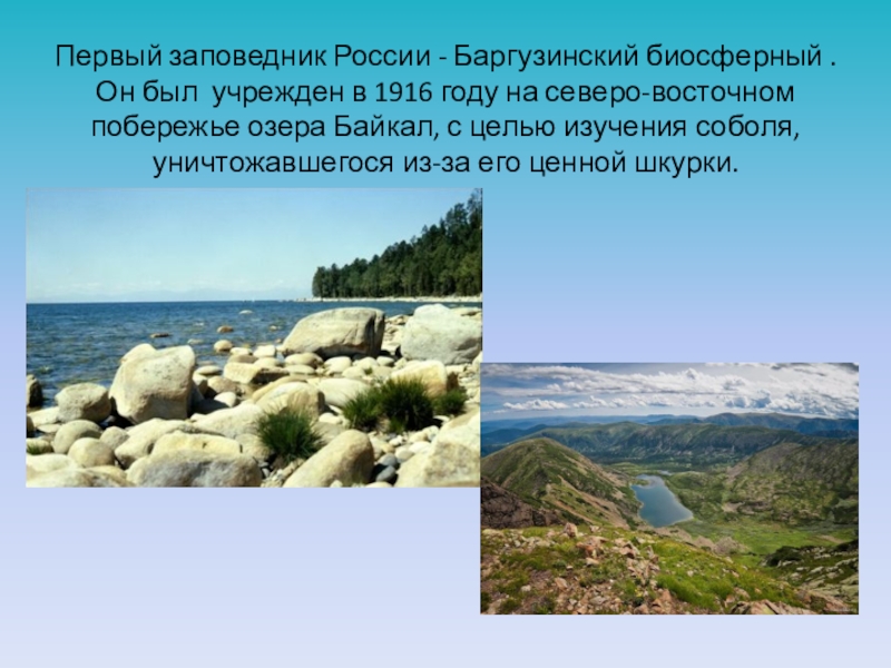 Первый заповедник. Первый заповедник в России. Самый первый заповедник в России. Первый заповедник в России 1916. Заповедник первый заповедник России.