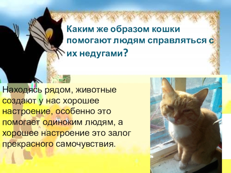 Польза кошек. Кошки помогают людям. Как коты помогают людям. Чем кошка помогает человеку. Как кошки помогают в жизни человека.