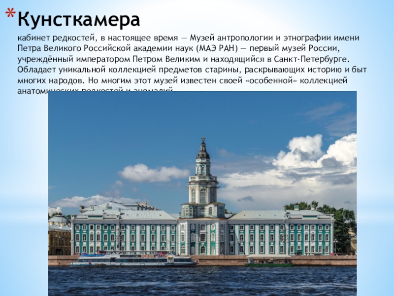 Кунсткамера спб билеты