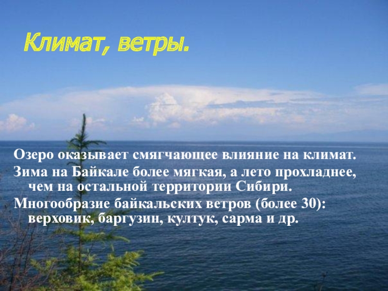 Влияние озер. Климат Байкала презентация. Климат озера Байкал. Климатические условия Байкала. Байкал климатический пояс.