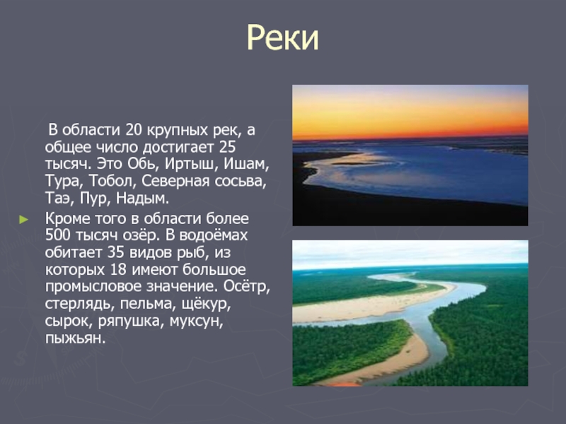 Про область. Реки Тюменской области описание. Реки и озера Тюменской области. Информация о водоеме Тюменской области.. Реки Тюменской области презентация.