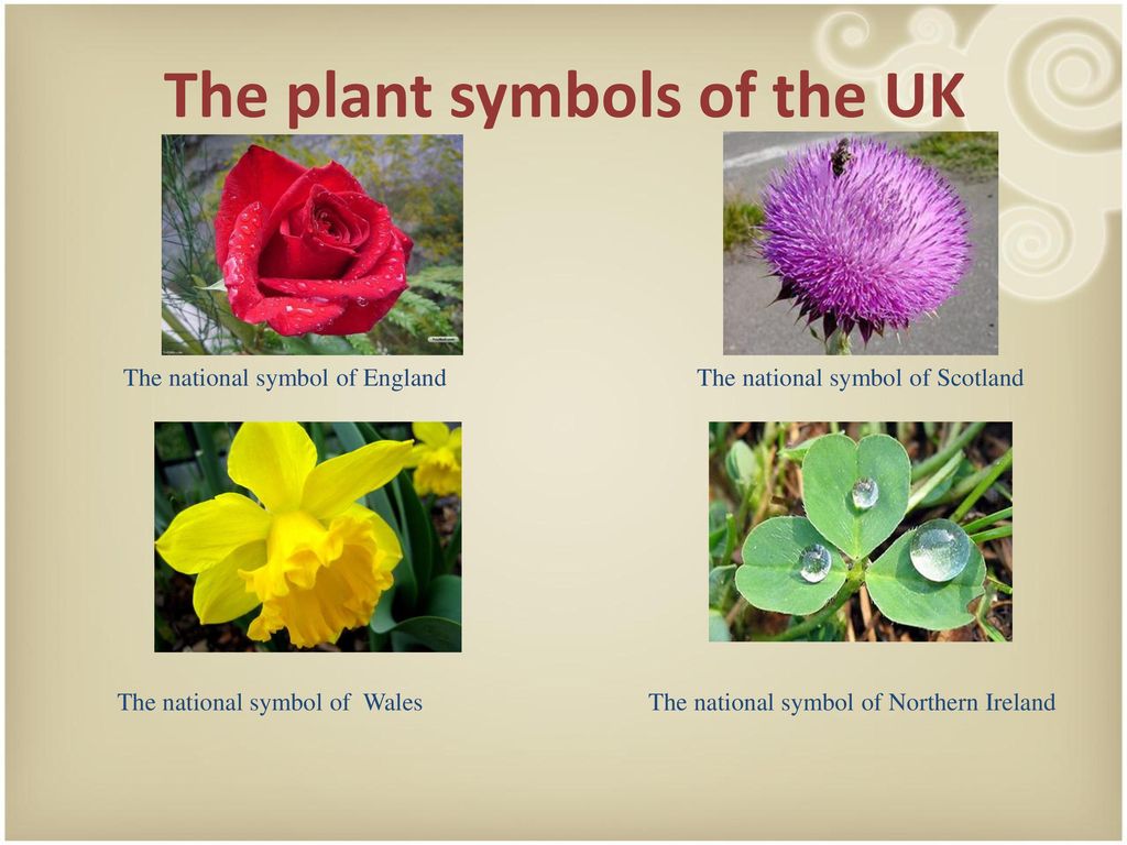 National symbols of the uk