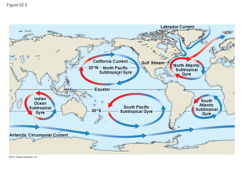 Теплые течения лабрадорское. Гольфстрим течение. Течение Гольфстрим и Лабрадорское течение. Гольфстрим на карте Атлантического океана. Гольфстрим и Лабрадорское течение на карте.